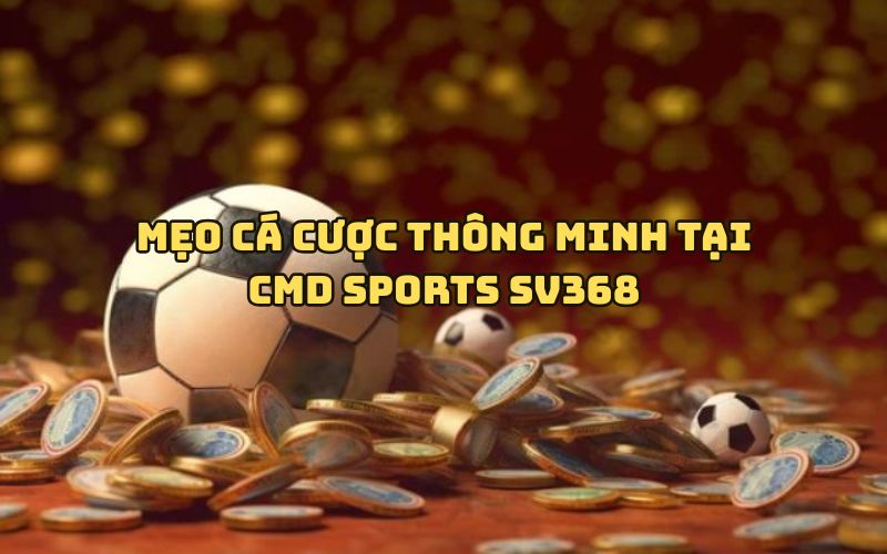Bí kíp cá cược hiệu quả tại CMD Sports SV368