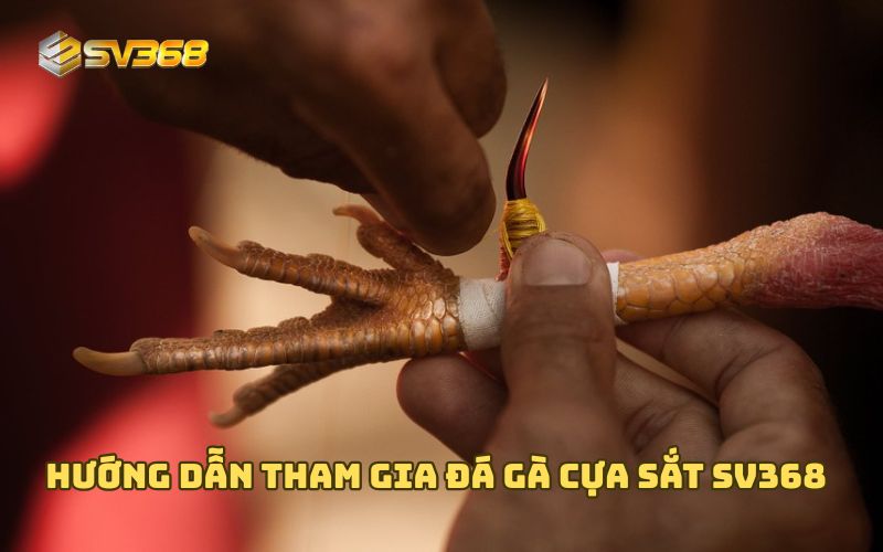 Hướng dẫn tham gia đá gà cựa sắt SV368