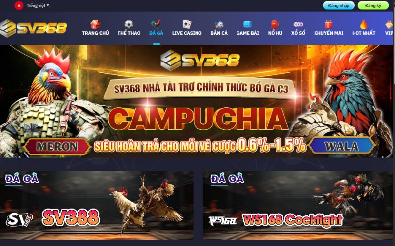 Thiết kế hút mắt của sân chơi cá cược trực tuyến đá gà SV368